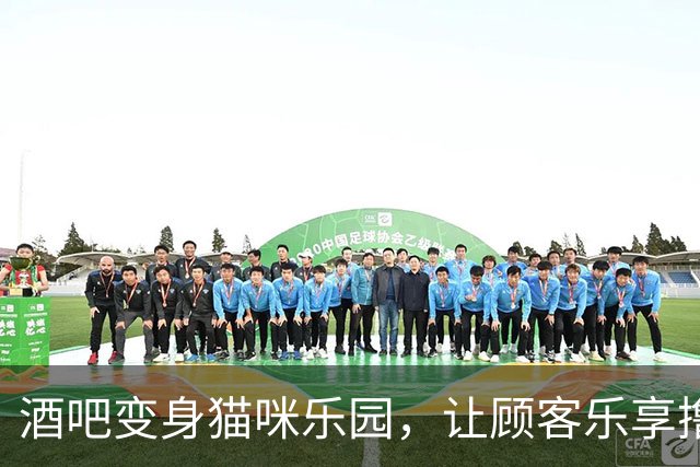酒吧变身猫咪乐园，让顾客乐享撸猫时光